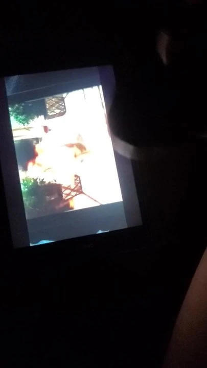 Cardi b cum tribute
