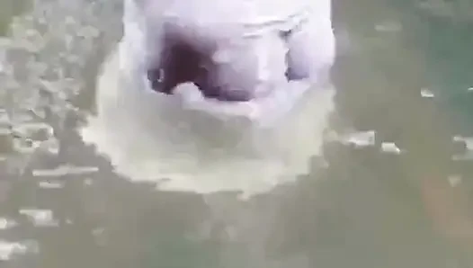 Hot Girl Bathing & Fucking
