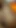 Key moment from "Newly Married Rajasthani Bhabhi Secret Blowjob and squirting Hot Sex with Boyfriend at Home"