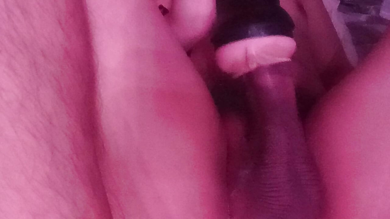 Warm My Milk Day 1664