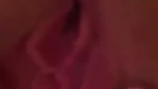 bfnew