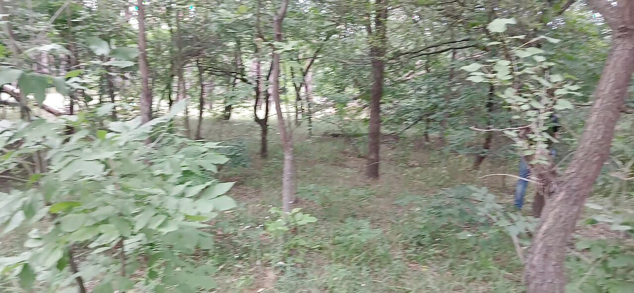 Nasza trzecia dziewczyna ogląda w parku, więc nikt nas nie przyłapuje na seksie