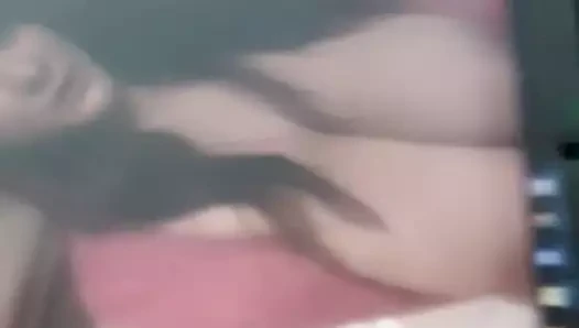 Bella Trib