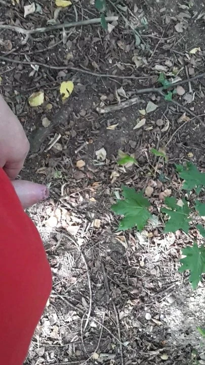 Pee in the Forest