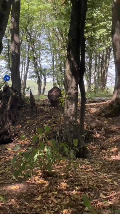 M-a trecut de două ori, mă termină | Clipul 1