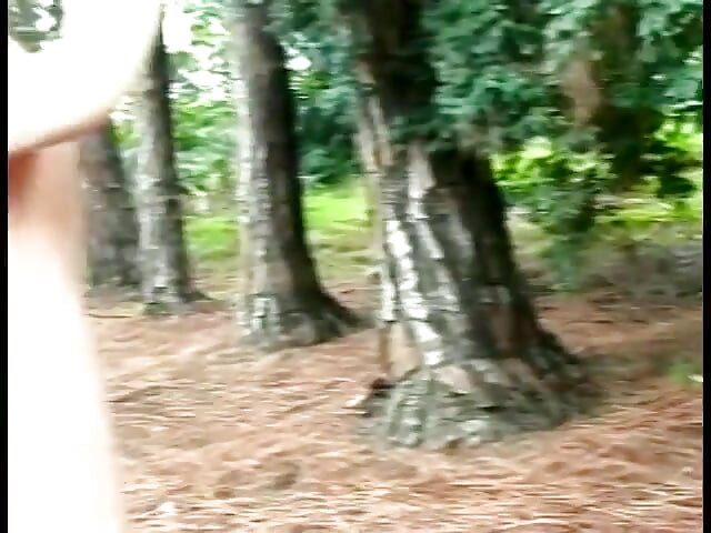 Foursome in the forest with two she-males
