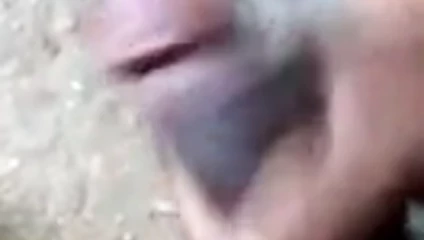 Brezilyalı siyah horoz