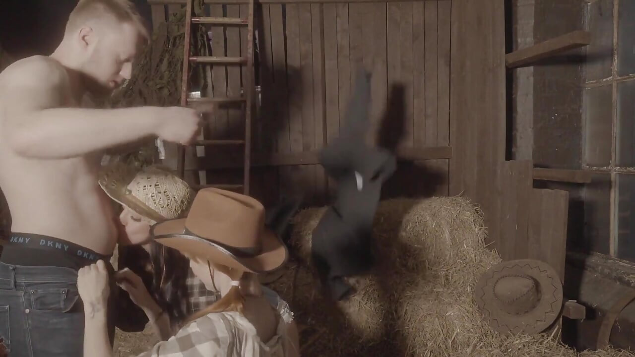 A Quicky in the Hay Stack