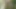 Walking Hard and Naked in the Forest
