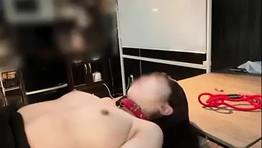 Asian Angel 27646