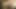 Milf sucks cock cum in mouth