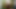こはく色のXoxoからAnutherのお尻シェイク