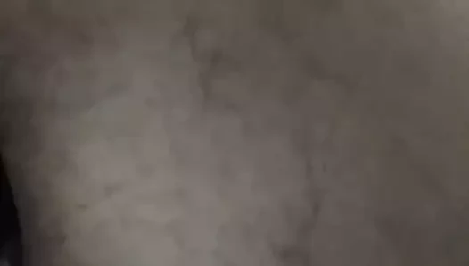 Mi horto