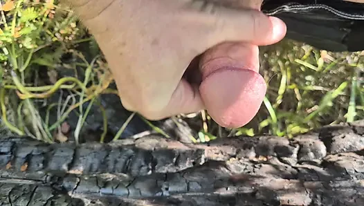 so much delicious sperm - jerking off on burnt tree