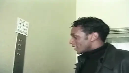 Büyük Omar'ın İngiliz maceraları: büyük memeli (2001)