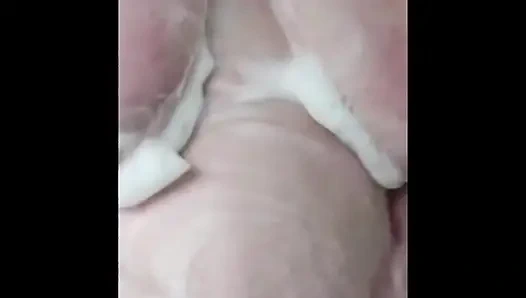 Möpse-zusammenstellung