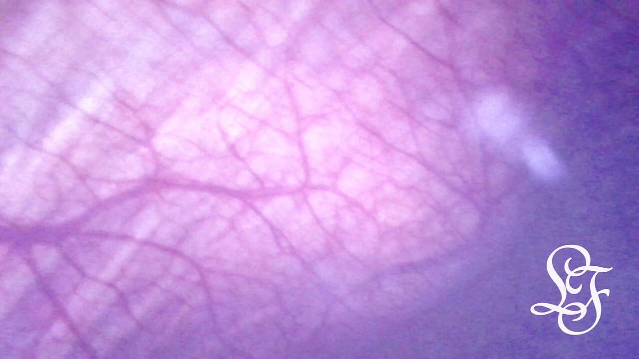 Assistindo minha ventre cheia de saliências para fora da minha barriga