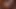 Howl Hard intense sex hot tasty blowjob sweet pleasure hot big ass swallowing cock intense hard sex sweet anus gaping swallowing