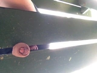 cock in crack
