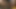 リッチ・ビッグファット・ペニス