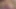 İri göğüslü İngiliz porno yıldızı sürtük Amber Hall