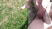 Pregled videozapisa