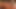 Tropical long haired T-girl plays with her shemale dick
