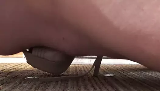 flesh