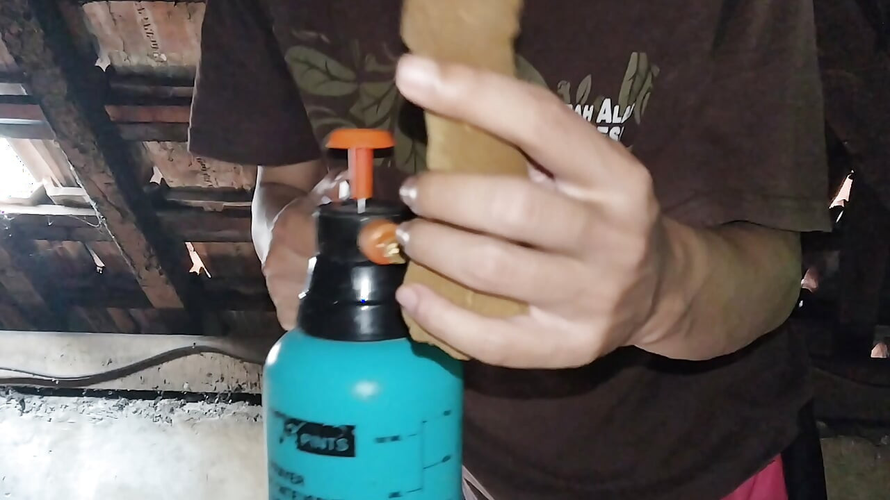 Masturbating on the attic of your own house