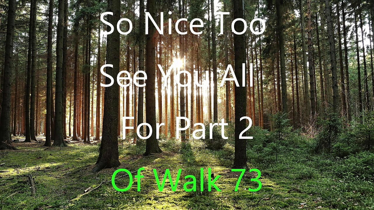 Bagian 2 walk 73