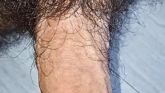 Yumuşaktan sertliğe kadar olan penis