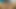 私にはパートナーがいないことを知っていますか?