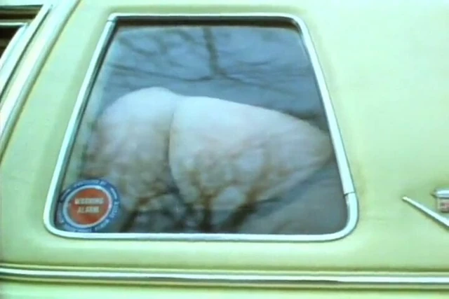 Slut in car moons older couple through window!
