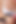夫が芝刈りをしている間に隣人に素早くフェラし、口に精液を出す 4K