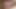 Best Hot Cumshot Compilation Porn Video of Black Cock Jerking off and Cumming on SSBBW Big Fat Pussy, Huge Ass, Tits and Panties