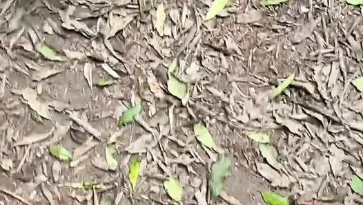 Orang asing menyetubuhiku di pantat