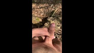 Nacked walk and cum in Forest