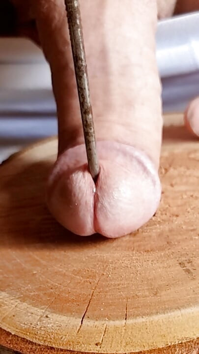 Punishing the tail and nailing it to the wood