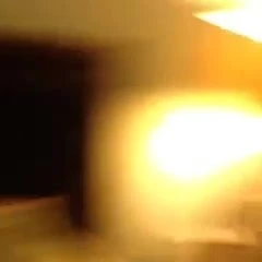 Sunneyleon