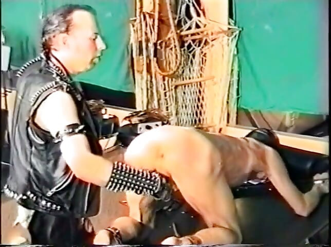 Two German Bears Like to Suck, Fuck and Play Games - 9