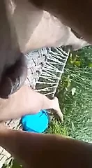 Новые альбомы дези