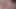 Anna dengan hentai 3d - pijat toket besar hot, fingering memek becek sambil berdiri dan jilat memek berbulunya sampai muncrat