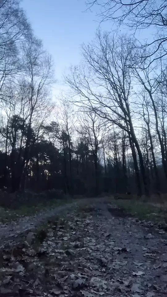 Dressed with a fuchsia skirt in a forest