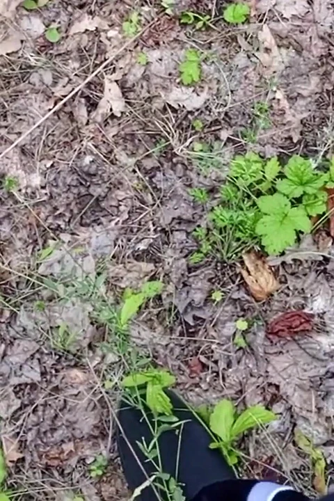 A Friend Sucks My Dick in a Park and Swallows Cum