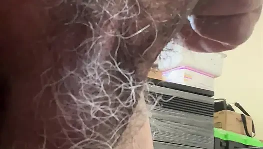 Erkek penisi ve taşakları