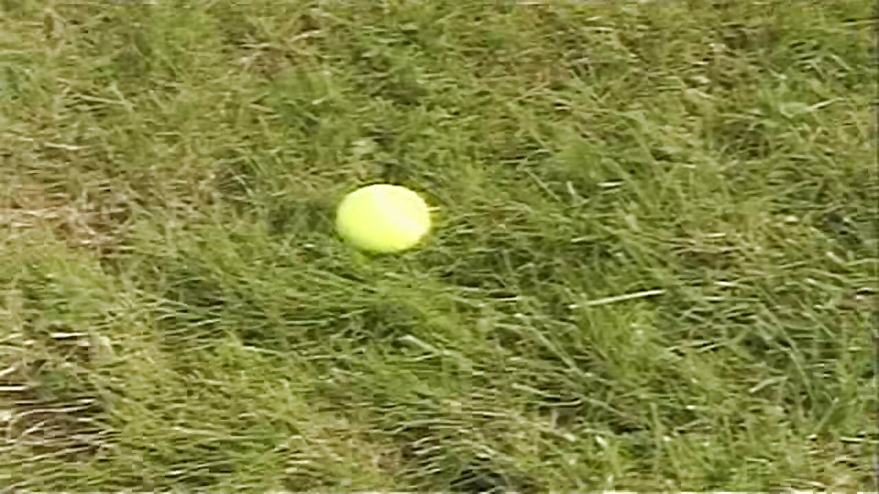Grandes Aventuras Britânicas de Omar: Wet Snatches (2003)