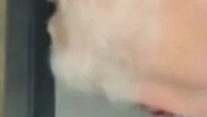 Suck892