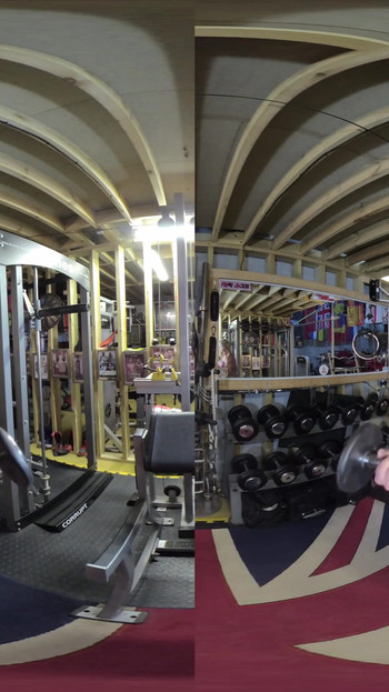 Lisa Cross - VR 2