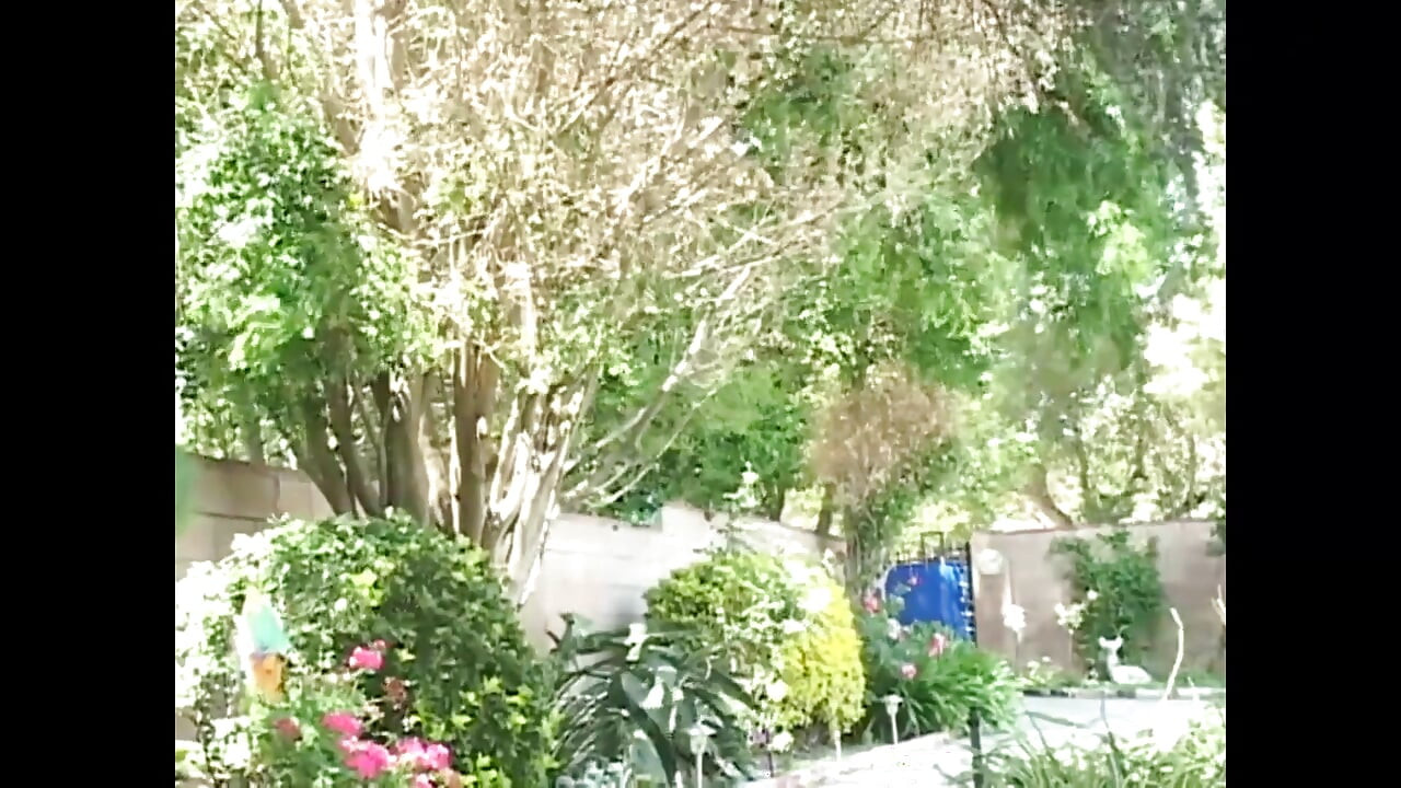 In Their Perverted Environment They Lick Each Other