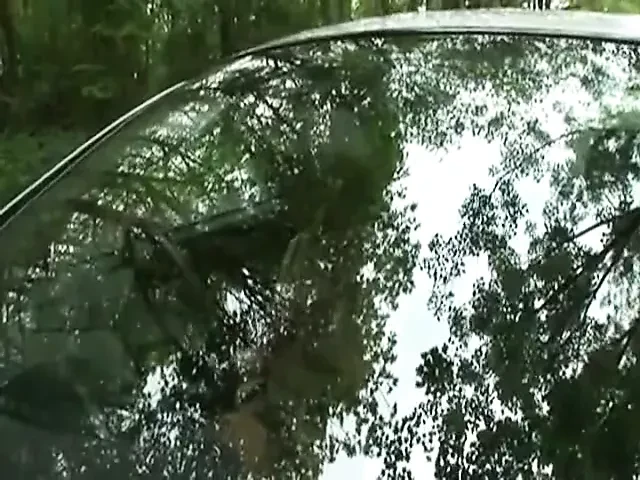 British MILF Takes A Walk In The Woods
